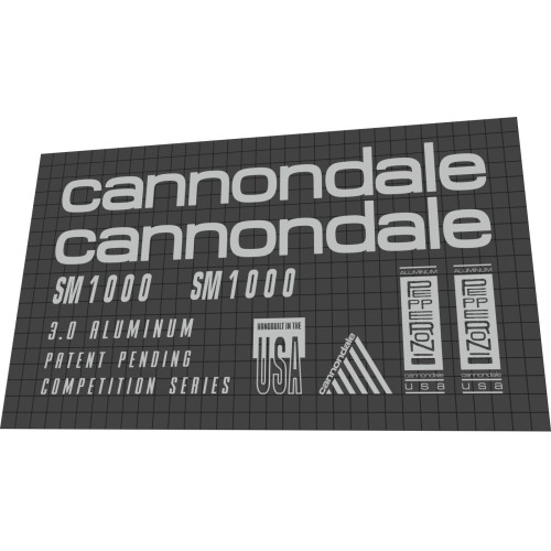 1990 Cannondale SM1000 silver