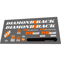 1991 Diamond Back Ascent