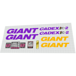 1992 Giant Cadex CFR2