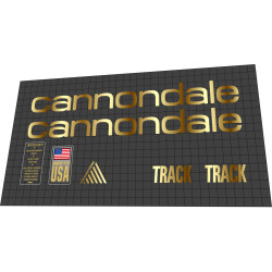 1993 Cannondale Track 3.0 gold
