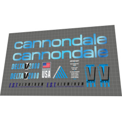 1993 Cannondale_Delta_V_2000