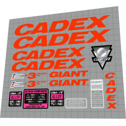 1993 Giant Cadex CFM 3