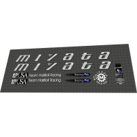 1993 Miyata Elevation Team HairBoll Racing
