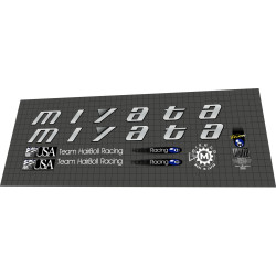 1993 Miyata Elevation Team HairBoll Racing