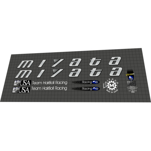 1993 Miyata Elevation Team HairBoll Racing