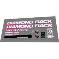 1994 Diamondback Ascent white magenta