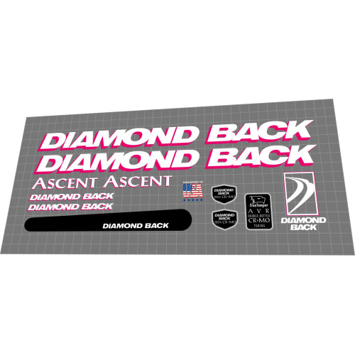 1994 Diamondback Ascent white magenta