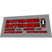 1998 Intense Uzzi SL red