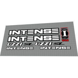 1998 Intense Uzzi SL White 1998 Intense Uzzi SL White