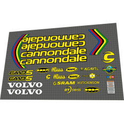 2000 Cannondale  F5000SL Team