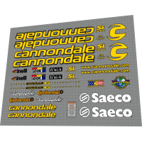 2001 Cannondale CAAD6 R5000 Si Team Saeco