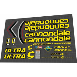 2001 CANNONDALE F3000SL