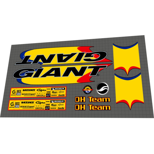 2002 Giant DH-Team