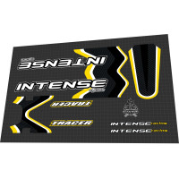 2003 INTENSE TRACER