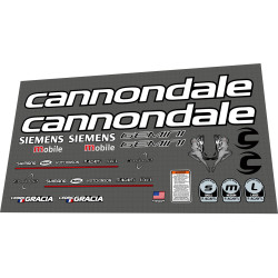 2004 Cannondale Gemini Cedric Gracia 2004 Cannondale Gemini Cedric Gracia