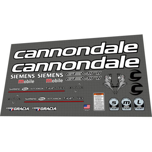 2004 Cannondale Gemini Cedric Gracia