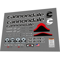 2005 Cannondale Scalpel Team Replica 2005 Cannondale Scalpel Team Replica