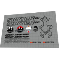 2005 Rocky Mountain Switch Pro