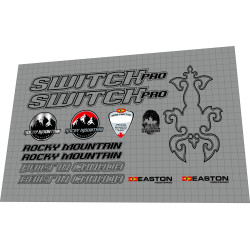2005 Rocky Mountain Switch Pro