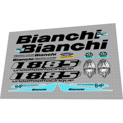 2007 Bianchi 1885