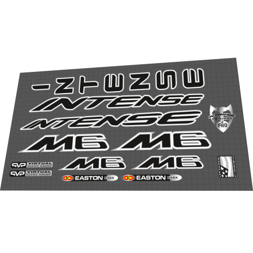 2008 Intense M6 2008 Intense M6