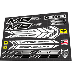 2010 Intense M9 FRO White