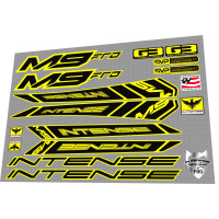 2010 Intense M9 FRO Yellow 2010 Intense M9 FRO Yellow