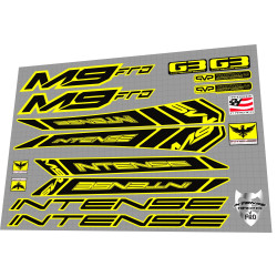 2010 Intense M9 FRO Yellow
