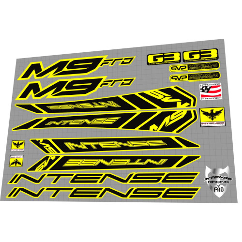 2010 Intense M9 FRO Yellow