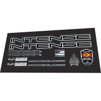 2010 Intense Tracer VP