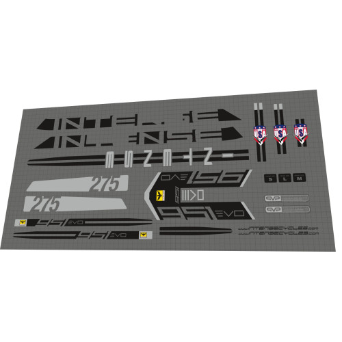 2014 Intense 951 EVO