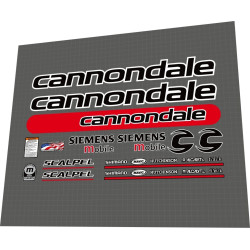 Cannondale SCALPELl 4000