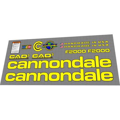 Cannondale F2000 custom