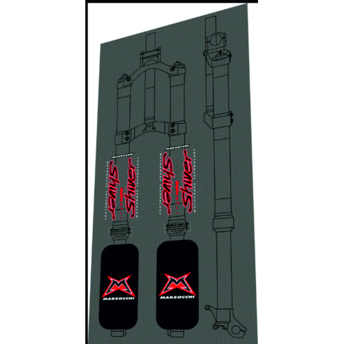 2001 Shiver DH World Cup