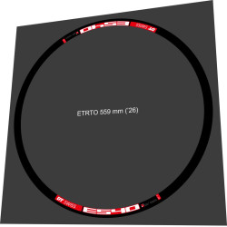 DT SWISS E540 FOR 2 WEELS