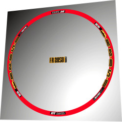 DT SWISS FOR FR 2050 gold FOR 2 WEELS