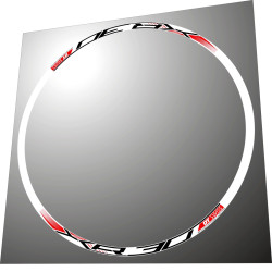 DT SWISS XR30 FOR 2 WEELS