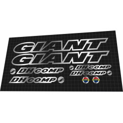 2005 Giant DH Comp