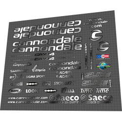 Saeco Cannondale CAAD4 Mario Cipollini team issue silver