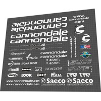 Saeco Cannondale CAAD4 Mario Cipollini team issue silver
