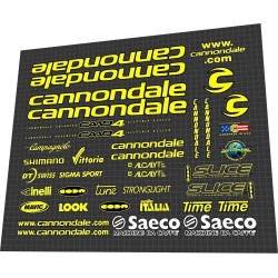 Saeco Cannondale CAAD4 Mario Cipollini team issue