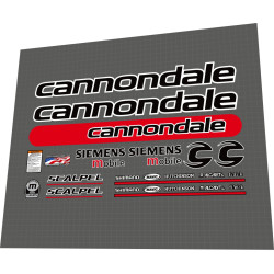 Cannondale SCALPEL 4000 Siemens