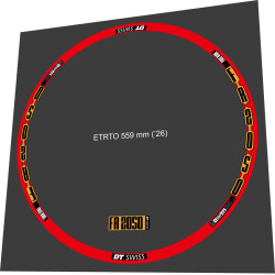 DT SWISS FR 2050 FOR 2 WEELS