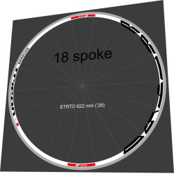 DT SWISS RR 1450 TRICON 18s FOR 2 WEELS