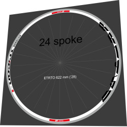 DT SWISS RR 1450 TRICON 24s FOR 2 WEELS