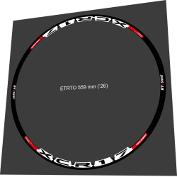 DT SWISS XCR 17 FOR 2 WEELS