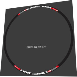 DT SWISS XMC 350 FOR 2 WEELS