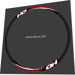 Rodi DH FOR 2 WEELS