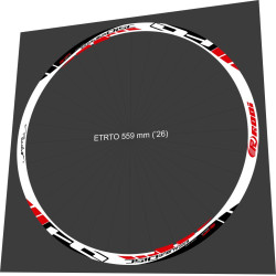 Rodi DH Excalibur Disc FOR 2 WEELS